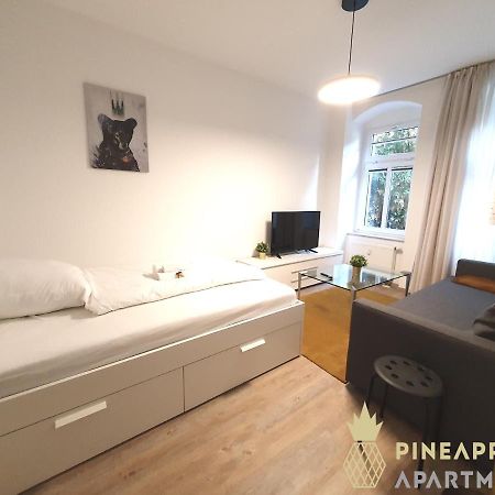 Ruhiges Hinterhof Apartment Im Herzen Der Neustadt Drezda Kültér fotó
